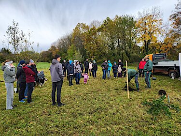 Ein Baum wird auf der Hochzeitswiese gepflanzt Ein Baum wird auf der Hochzeitswiese gepflanzt